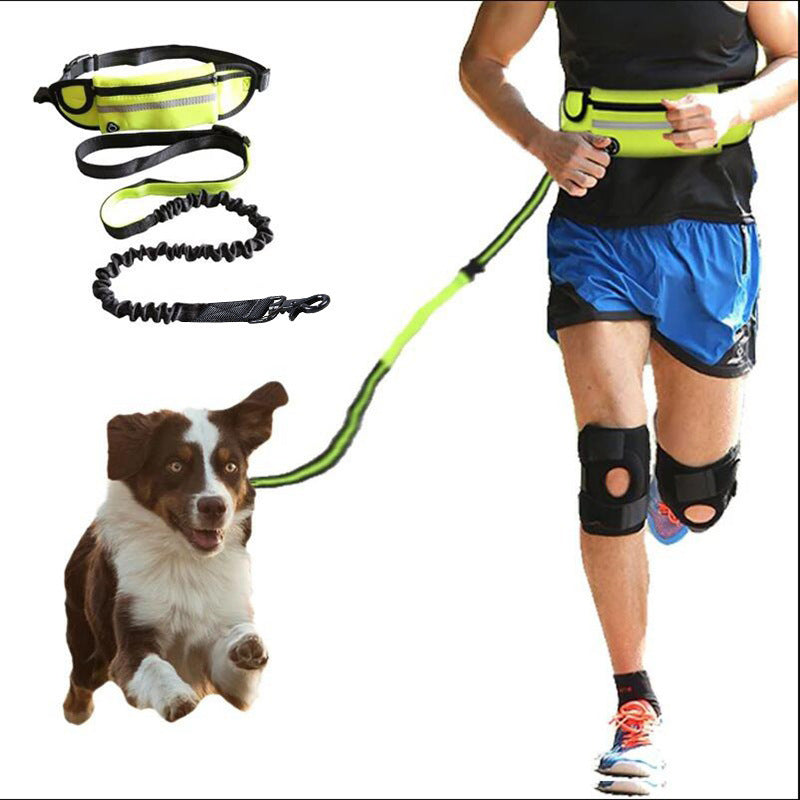 Hands Free Dog Leash Enjoy Jogging With Your Dog!